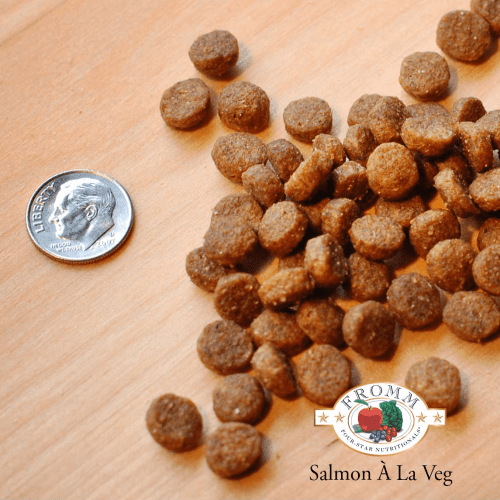 Dry Dog Food - FOUR STAR - Salmon À La Veg Recipe - J & J Pet Club - Fromm