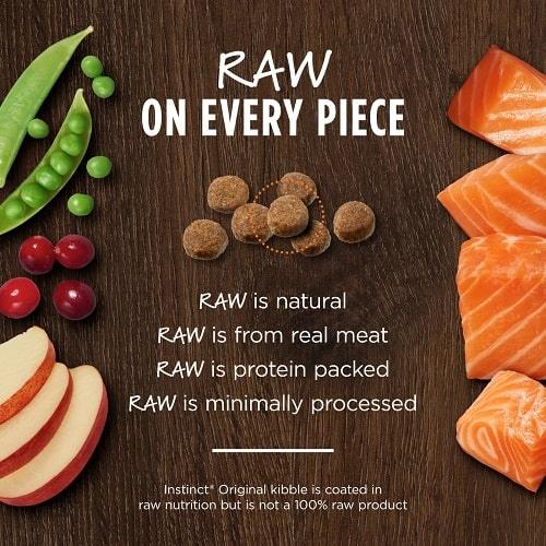 Dry Dog Food - ORIGINAL - Raw Coated - Real Salmon Recipe - 20 lb - J & J Pet Club - Instinct