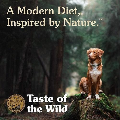 Dry Dog Food - Pacific Stream Puppy Recipe with Smoked Salmon - J & J Pet Club - Taste of the Wild