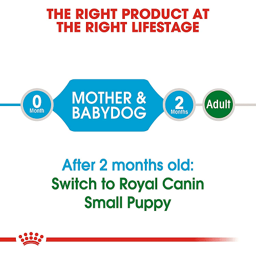 Dry Dog Food - Puppy - Small Starter Mother & Babydog - J & J Pet Club - Royal Canin