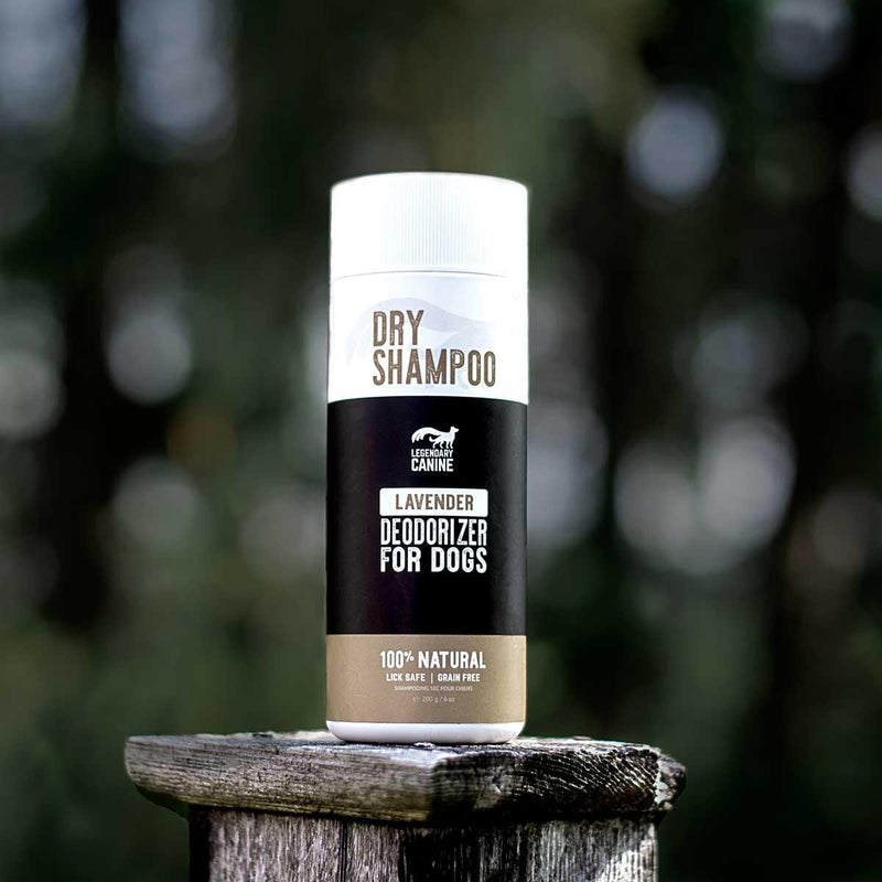 Dry Dog Shampoo - 6 oz - J & J Pet Club - Legendary Canine