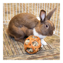 Edible Treat Ball - 4" - J & J Pet Club - Ware