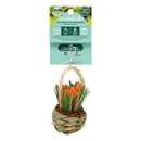 Enriched Life - Celebration Basket - J & J Pet Club - Oxbow