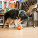 Enrichment Toys - Wobble Ball 2.0 - J & J Pet Club - P.L.A.Y.