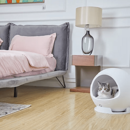 Cozy Gen 2 Smart Pet Cave Petkit Cat Furniture.