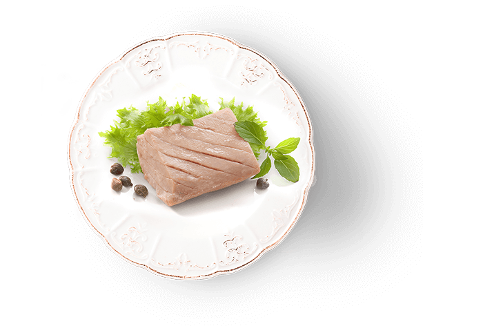 Fillets Treats For Dogs - Tuna & Glucosamine and Chondroitin - 20 g - J & J Pet Club - Oven-Baked Tradition