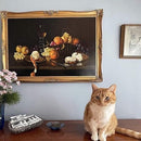 Fine Nepeta Cataria - Pelletized Catnip - 20 g - J & J Pet Club - Recreational Narcatics