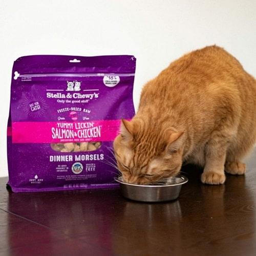 Freeze Dried Cat Food - Salmon & Chicken Dinner Morsels - J & J Pet Club