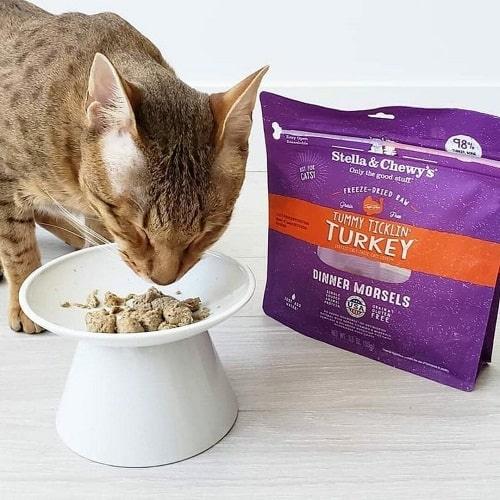 Freeze Dried Cat Food - Turkey Dinner Morsels - J & J Pet Club - Stella & Chewy's