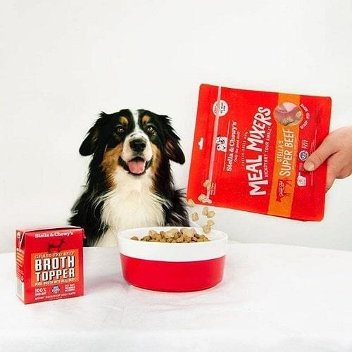 Freeze Dried Dog Meal Mixer - Beef - J & J Pet Club - Stella & Chewy's