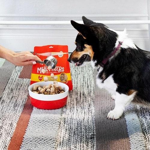 Freeze Dried Dog Meal Mixer - Chicken - J & J Pet Club - Stella & Chewy's