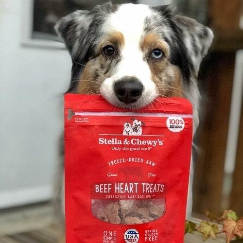 Freeze Dried Dog Treat - Single Ingredient - Beef Heart - 3 oz - J & J Pet Club - Stella & Chewy's