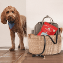 Freeze Dried Dog Treat - Single Ingredient - Lamb Liver - 3 oz - J & J Pet Club - Stella & Chewy's