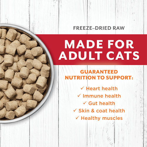 Freeze Dried Raw Cat Food - LONGEVITY - Beef & Cod Bites For Adult Cats - 9.5 oz - J & J Pet Club - Instinct