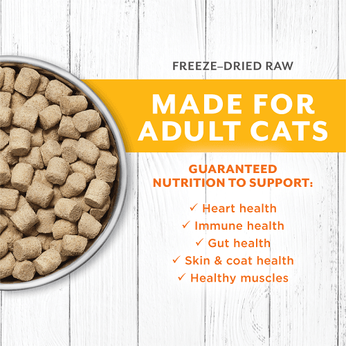 Freeze Dried Raw Cat Food - LONGEVITY - Cage Free Chicken Bites For Adult Cats - J & J Pet Club - Instinct