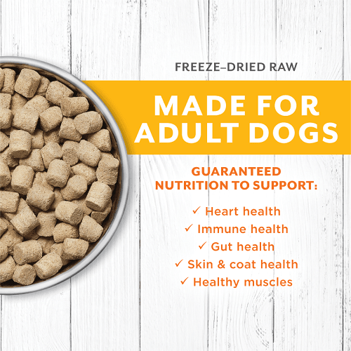 Freeze Dried Raw Dog Food - LONGEVITY - Cage Free Chicken Bites For Adult Dogs - 9.5 oz - J & J Pet Club - Instinct