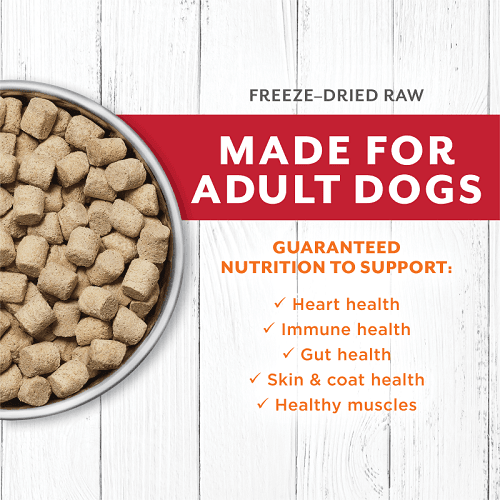 Freeze Dried Raw Dog Food - LONGEVITY - Grass Fed Beef Bites For Adult Dogs - J & J Pet Club - Instinct