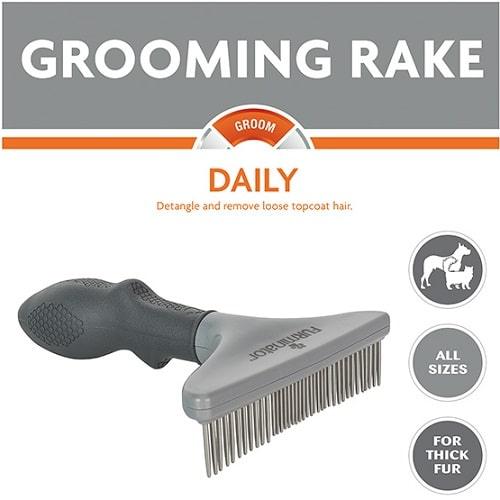 Dog fur rake best sale