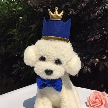 Handmade Pet Birthday Party / Wedding Hats - Blue Crown Hat - J & J Pet Club - Other