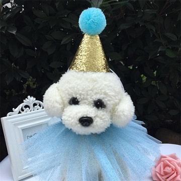 Handmade Pet Birthday Party / Wedding Set - Hat & Lace Dress - Blue - J & J Pet Club - Other