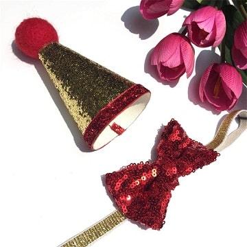 Handmade Pet Birthday Party / Wedding Set - Red Cap & Bow Tie - J & J Pet Club