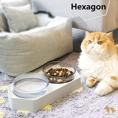 Hexagon Pet Bowl - J & J Pet Club - Aiwo
