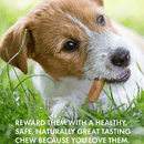 Hide Free Chicken Chews - Large 7” Roll (Up to 75 lbs) - 2 pk - J & J Pet Club - Canine Naturals