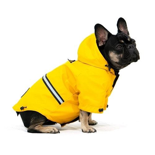 Hurricane Rain Jacket - J & J Pet Club - Woof Concept