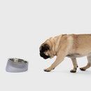 Iceber Pet Bowl - J & J Pet Club - Pidan