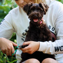 Li'l Pals - Small Breed Dog & Puppy Nail Trimmer - J & J Pet Club - Coastal