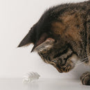 “Little Snow Monster” Electronic Cat Teasing Toy - J & J Pet Club - Pidan