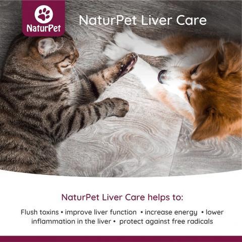 Liver Care (NN.R9O0) - 100 ml - J & J Pet Club - NaturPet