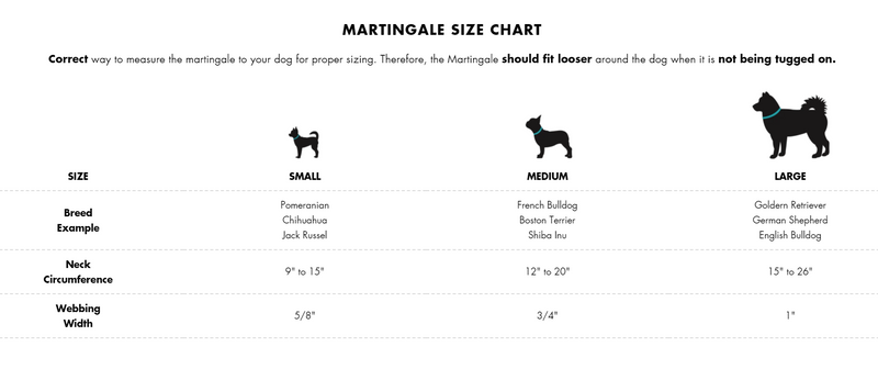 Martingale Clip Collar - ADVENTURE COLLECTION - Polygon - J & J Pet Club - Woof Concept