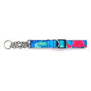 Martingale Clip Collar - ADVENTURE COLLECTION - Prism - J & J Pet Club - Woof Concept