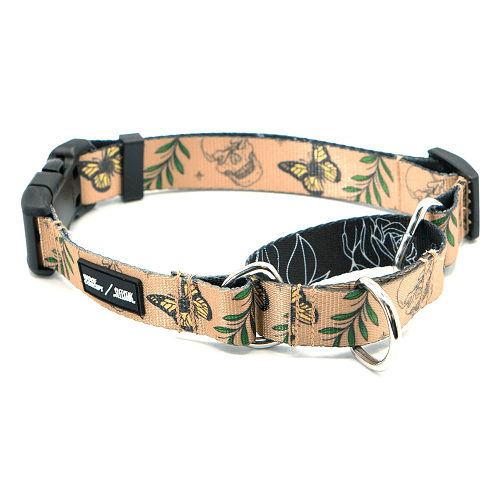 Martingale Collar - IKONIC COLLECTION - Sleestak X Woof Concept - J & J Pet Club - Woof Concept
