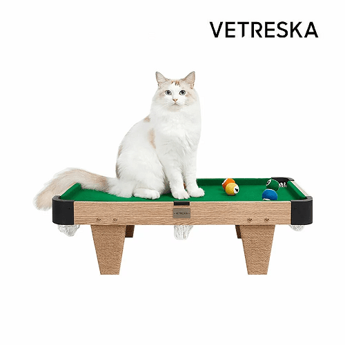 Meownooker Cat Toy Set - J & J Pet Club - Vetreska