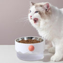 Mi-tail Clown Pet Bowl - J & J Pet Club - Mayitwill