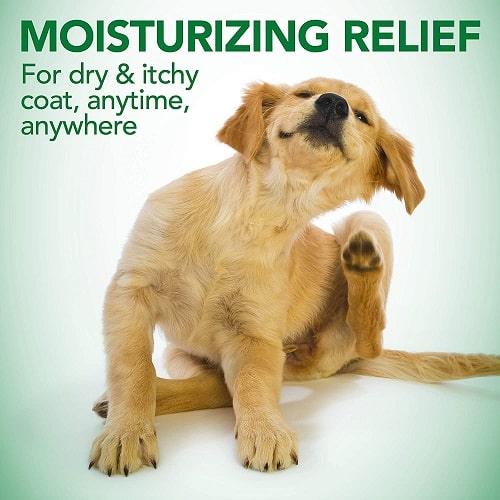 Moisture Mist Conditioner For Dogs - 16 fl oz - J & J Pet Club - Vet's Best