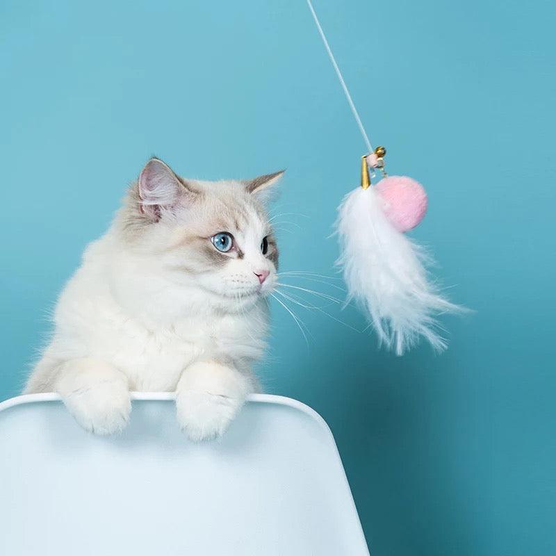 Multifunctional Laser Cat Teaser with Telescopic Stick - J & J Pet Club - Aiwo