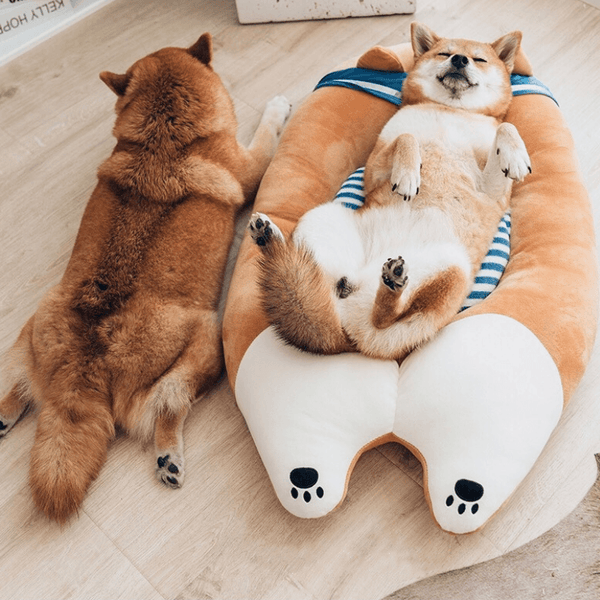 Shiba inu outlet bed