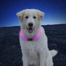 NITEHOWL - LED Safety Necklace - J & J Pet Club - Nite Ize