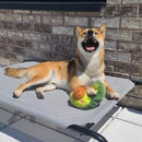 NomNomz - Avocado - J & J Pet Club - ZippyPaws