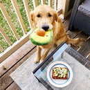 NomNomz - Avocado - J & J Pet Club - ZippyPaws