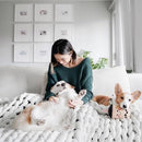 NomNomz - Boba Milk Tea - J & J Pet Club - ZippyPaws