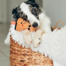 NomNomz - Boba Milk Tea - J & J Pet Club - ZippyPaws