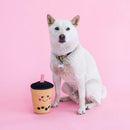 NomNomz - Boba Milk Tea - J & J Pet Club - ZippyPaws