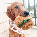 NomNomz - Hamburger - J & J Pet Club - ZippyPaws