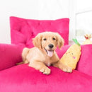 NomNomz - Pineapple - J & J Pet Club - ZippyPaws