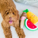 NomNomz - Pineapple - J & J Pet Club - ZippyPaws