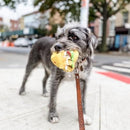 NomNomz - Taco - J & J Pet Club - ZippyPaws